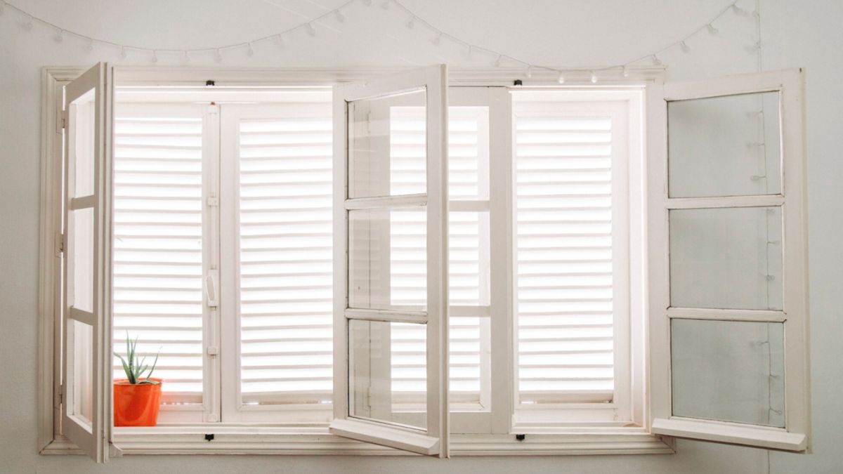 A stylish window replacement featuring shutters and a healthy plant, contributing to the overall beauty of the setting.