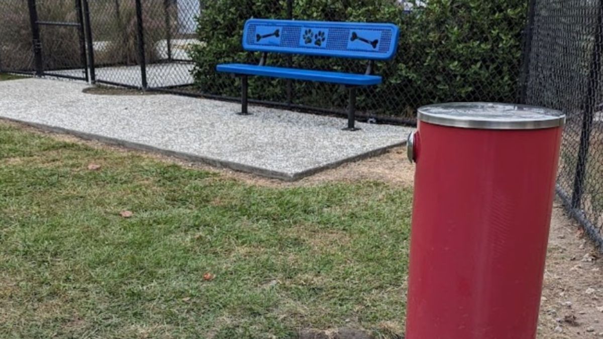 An image of a section of Hardeeville Dog Park featuring a blue metal bench with paw print and bone designs, a fenced area, and a red cylindrical dog waste bin on a grassy patch.